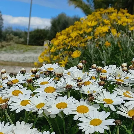 Profumo Di Campagna Bed & Breakfast Colonnella