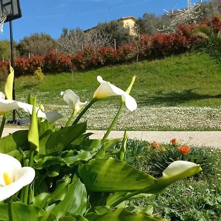Profumo Di Campagna Couette-café Colonnella