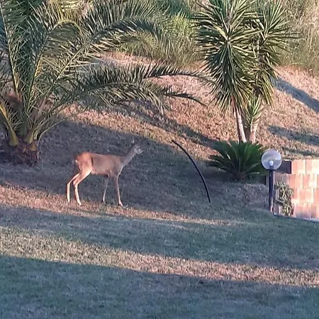 Bed and Breakfast Profumo Di Campagna