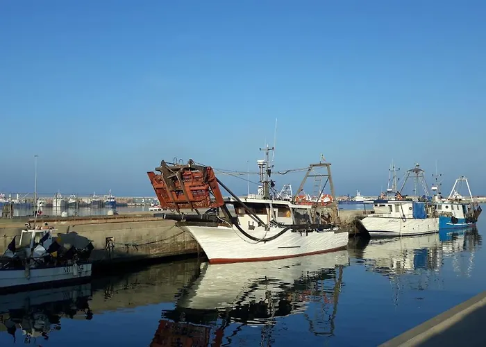 Alojamento de Acomodação e Pequeno-almoço Profumo Di Campagna Colonnella