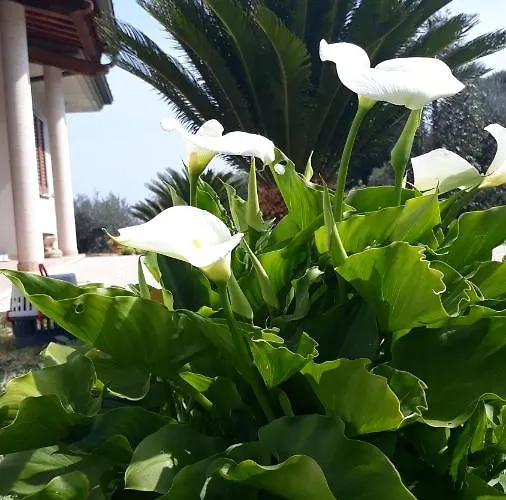 Profumo Di Campagna 3*