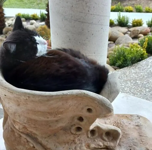 Profumo Di Campagna Alojamento de Acomodação e Pequeno-almoço Colonnella